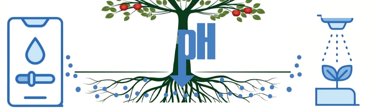 pH Vista Background