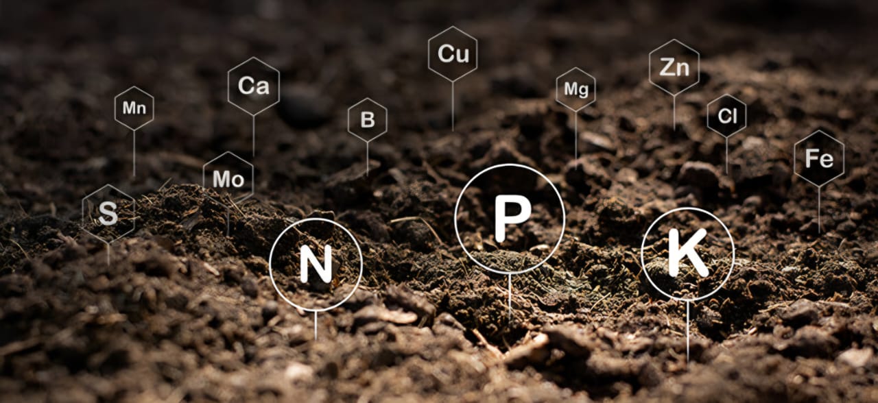 Granular Vista Background